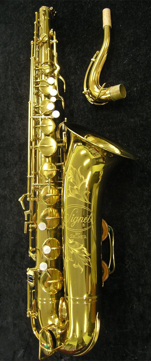 This is how my horn would have looked new, not how it looks now.